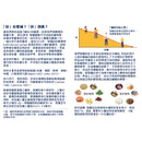 SkinSil 倩健素 美素矽 30粒