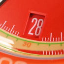 SAN MARTIN Fruit Series SN0116-G-B Automatic Colorful Design 39.5mm 20ATM Watch