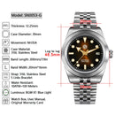 SAN MARTIN SN0053-G Automatic Sunray Enamel Dial Sapphire Glass 39mm 10ATM Watch