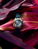 Citizen COLLECTION EW5526-11E Eco-Drive Radio-Controlled Ladies Watch JAPAN